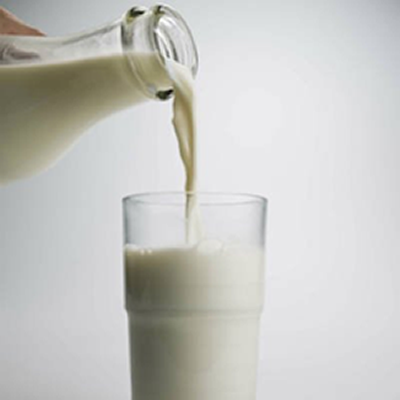 O Leite e Seus Benefícios